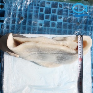 바다해 칠레산 대왕오징어 몸통 무라사키 10kg 튀김용 짬뽕용